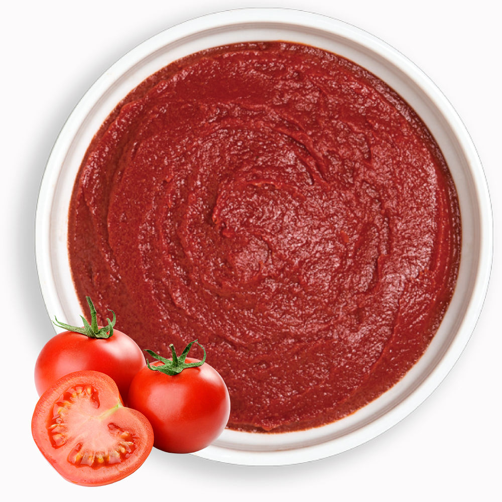 China Great Tomato Sauce Supplier Manufacturer Wholesale Halal Food 